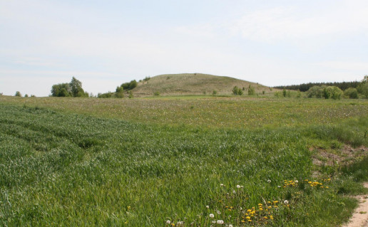 5_Papėčių piliakalnis (2).jpg